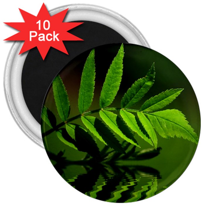 Leaf 3  Button Magnet (10 pack)