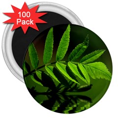 Leaf 3  Button Magnet (100 Pack) by Siebenhuehner