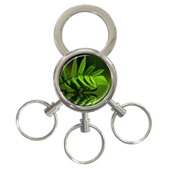 Leaf 3-Ring Key Chain