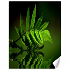 Leaf Canvas 18  X 24  (unframed) by Siebenhuehner