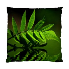 Leaf Cushion Case (single Sided)  by Siebenhuehner