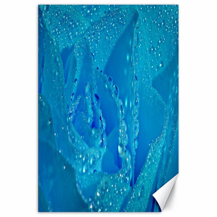 Blue Rose Canvas 20  x 30  (Unframed)