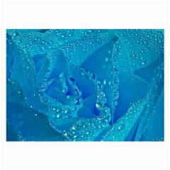 Blue Rose Glasses Cloth (large, Two Sided) by Siebenhuehner