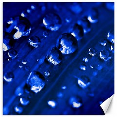 Waterdrops Canvas 16  X 16  (unframed) by Siebenhuehner