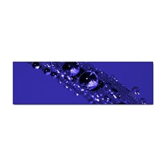 Waterdrops Bumper Sticker 100 Pack by Siebenhuehner