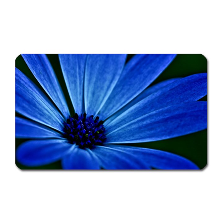 Flower Magnet (Rectangular)