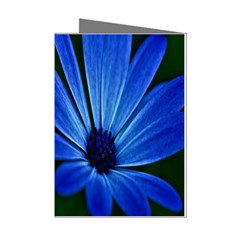 Flower Mini Greeting Card (8 Pack)