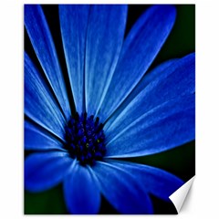 Flower Canvas 11  X 14  (unframed) by Siebenhuehner