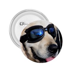 Cool Dog  2 25  Button