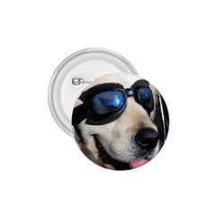 Cool Dog  1 75  Button by Siebenhuehner