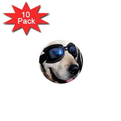 Cool Dog  1  Mini Button Magnet (10 Pack) by Siebenhuehner