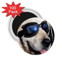 Cool Dog  2 25  Button Magnet (100 Pack)