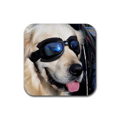 Cool Dog  Drink Coaster (square) by Siebenhuehner