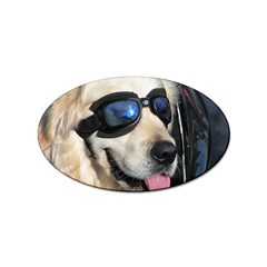 Cool Dog  Sticker (oval)