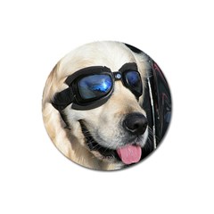Cool Dog  Magnet 3  (round)