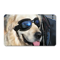 Cool Dog  Magnet (rectangular)