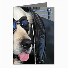 Cool Dog  Greeting Card (8 Pack)