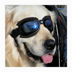 Cool Dog  Glasses Cloth (medium) by Siebenhuehner