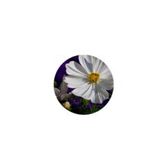 Cosmea   1  Mini Button Magnet