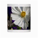 Cosmea   White Coffee Mug Center