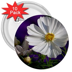 Cosmea   3  Button (10 Pack) by Siebenhuehner