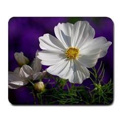 Cosmea   Large Mouse Pad (rectangle) by Siebenhuehner