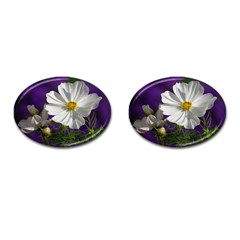 Cosmea   Cufflinks (oval) by Siebenhuehner