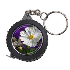 Cosmea   Measuring Tape