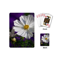 Cosmea   Playing Cards (mini) by Siebenhuehner
