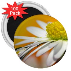 Daisy With Drops 3  Button Magnet (100 Pack) by Siebenhuehner