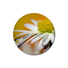 Daisy With Drops Drink Coaster (round) by Siebenhuehner