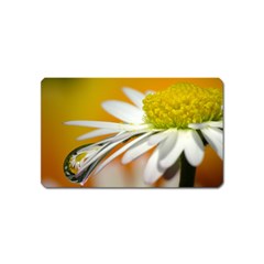 Daisy With Drops Magnet (name Card) by Siebenhuehner