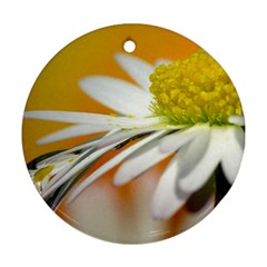 Daisy With Drops Round Ornament (two Sides) by Siebenhuehner