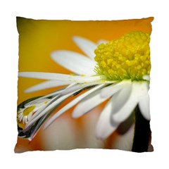 Daisy With Drops Cushion Case (single Sided)  by Siebenhuehner