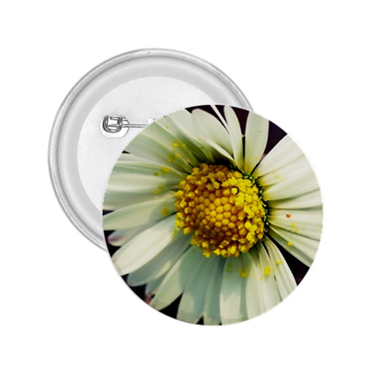 Daisy 2.25  Button