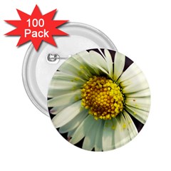 Daisy 2 25  Button (100 Pack) by Siebenhuehner