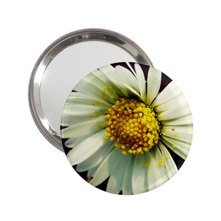 Daisy Handbag Mirror (2.25 )