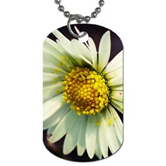 Daisy Dog Tag (one Sided) by Siebenhuehner