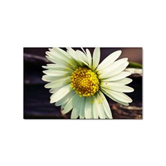 Daisy Sticker 10 Pack (rectangle) by Siebenhuehner