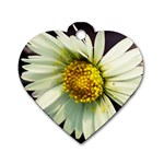 Daisy Dog Tag Heart (Two Sided) Back
