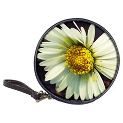 Daisy Cd Wallet by Siebenhuehner