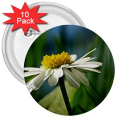 Daisy 3  Button (10 Pack)