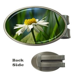 Daisy Money Clip (oval)