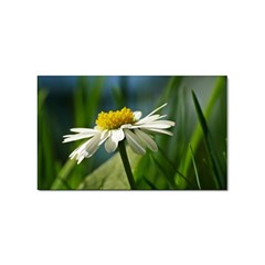 Daisy Sticker 10 Pack (rectangle) by Siebenhuehner