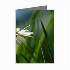 Daisy Mini Greeting Card by Siebenhuehner