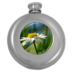 Daisy Hip Flask (round) by Siebenhuehner