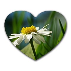 Daisy Mouse Pad (heart) by Siebenhuehner