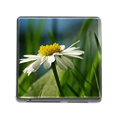 Daisy Memory Card Reader With Storage (square) by Siebenhuehner