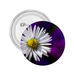 Daisy 2 25  Button