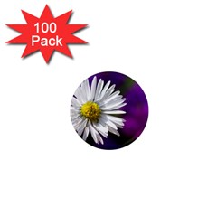 Daisy 1  Mini Button Magnet (100 Pack) by Siebenhuehner